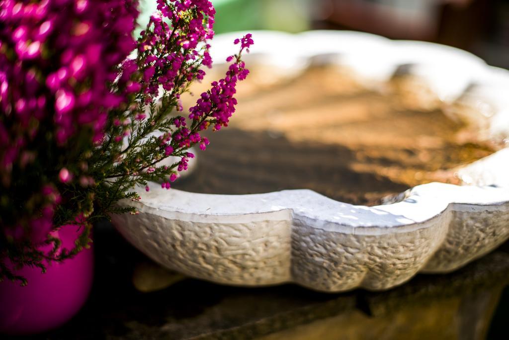 Feng Shui Wellness Apartmanhaz Hévíz Exteriör bild