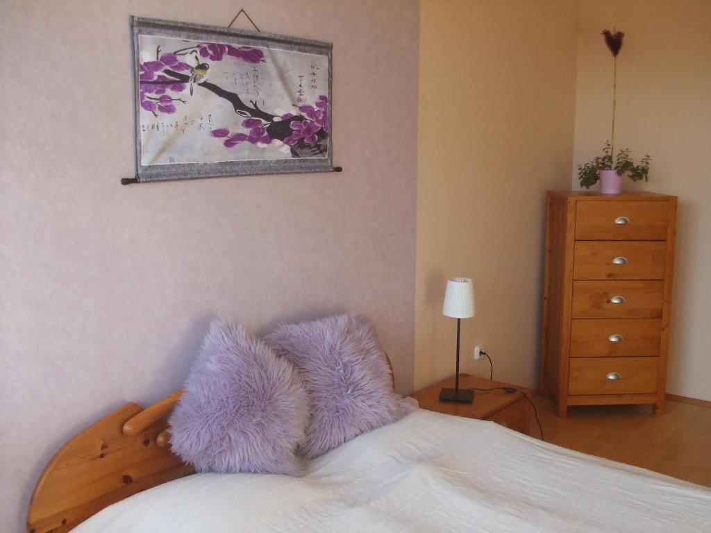 Feng Shui Wellness Apartmanhaz Hévíz Exteriör bild